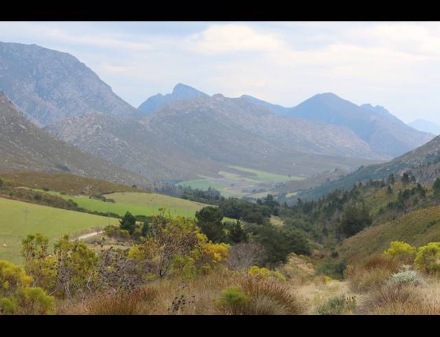 911HA FARM FOR SALE IN RIVERSDALE RURAL